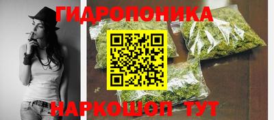 шишки Ирбит