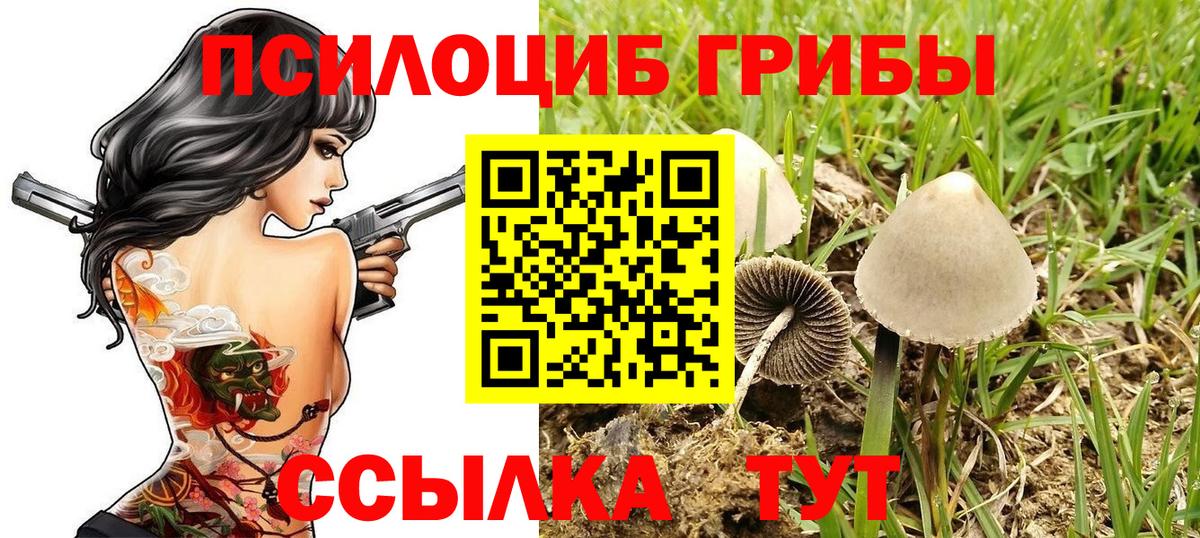 Псилоцибиновые грибы мицелий  Вход с VPN  Ленинск-Кузнецкий 